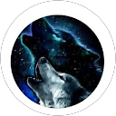 Salo Khan profile picture