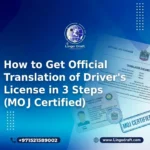 how to get official translation of driver's license